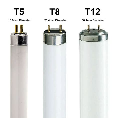 bulb t12